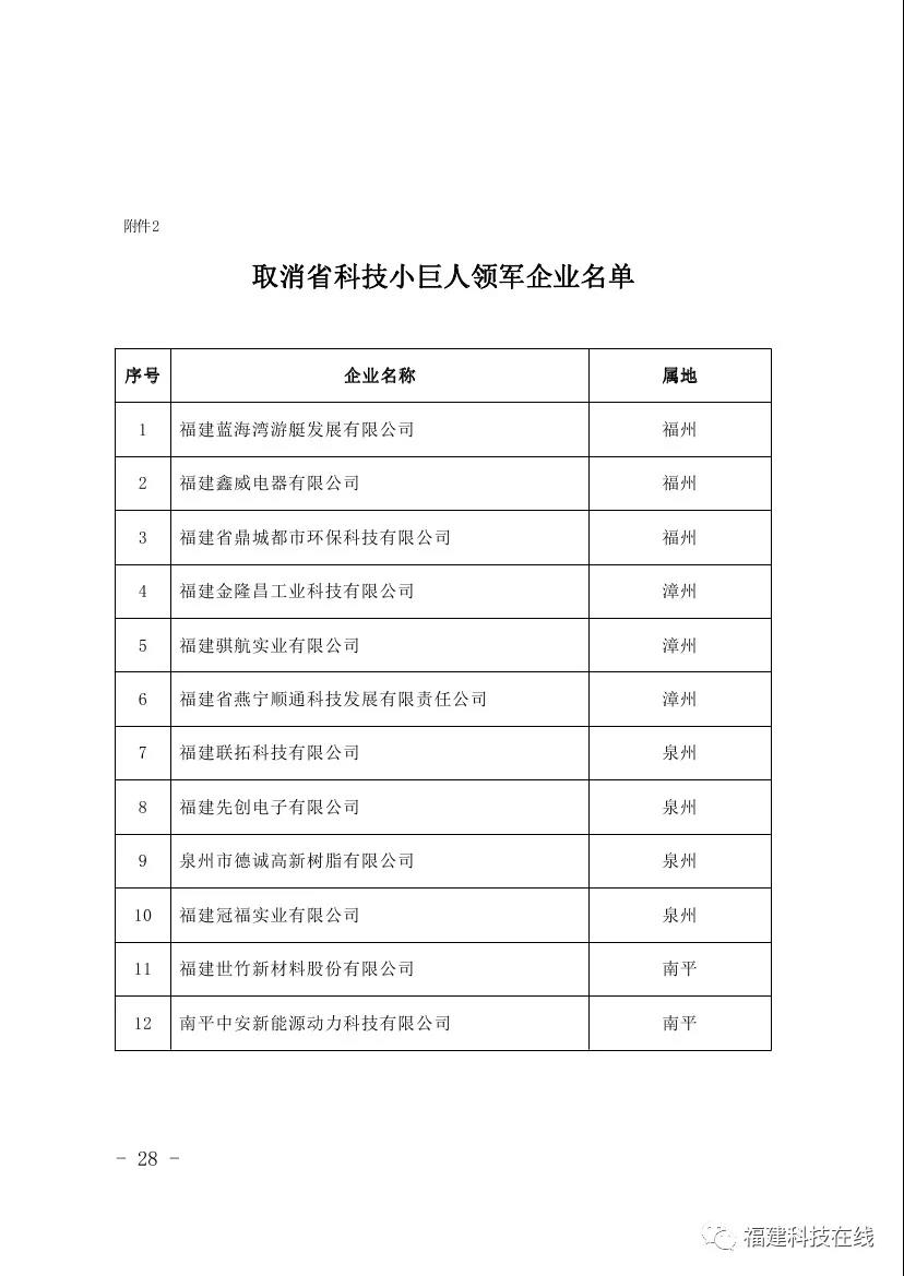 科技小巨人领军企业